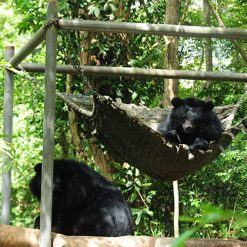 Animals in Nam Cat Tien