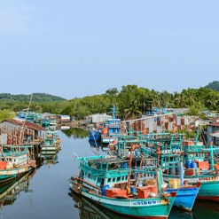 Board of Fishermen in Phu Quoc