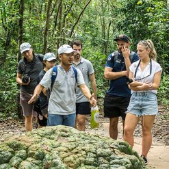 Cu Chi Tunnels tour from Ho Chi Minh City