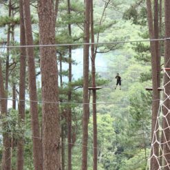 High Rope Course in Dalat - South Vietnam Tour