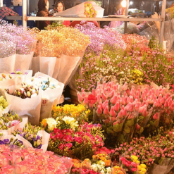 Ho Thi Ky flower market (1)