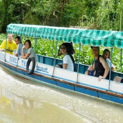 Motor Boat Along Mekong Delta Tour