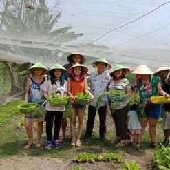 Organic Farm in Ho Chi Minh City Tour