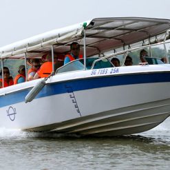 Saigon Cu Chi Tunnels Tour by Speed Boat