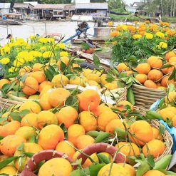 Taste Fresh Fruits in Mekong Floating Market