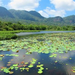 con dao national park - South vietnam travel packages