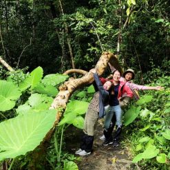 discover nam cat tien national park from ho chi minh