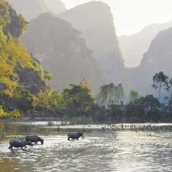 Peaceful Countryside of Ninh Binh